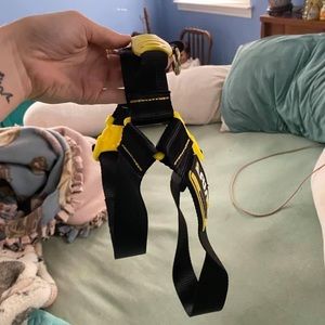 Dog Harness